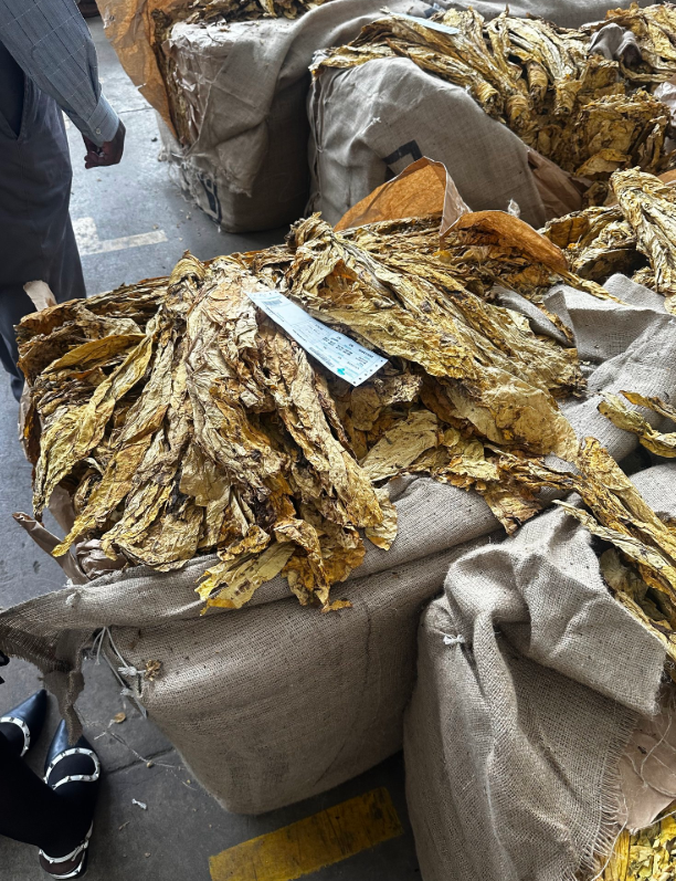 Zimbabwe Cigar Factory